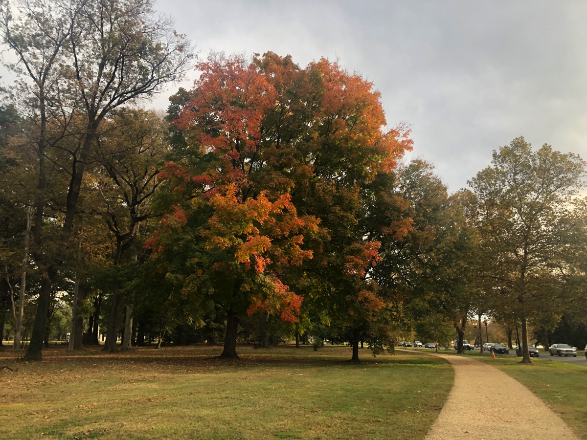 73lMzezjQbu7ltNJbp+hfA