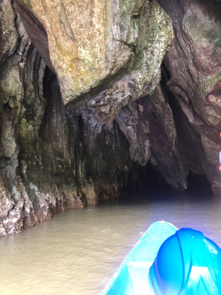 W8Rd5ndPSHmHUtJKA3qF1w