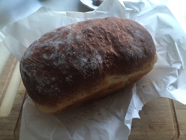 fullsizeoutput_129e3.jpeg Fullsizeoutput 129e3