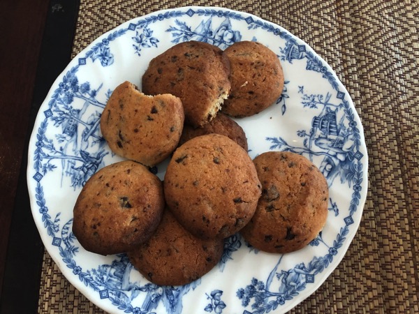 fullsizeoutput_1302c.jpeg Fullsizeoutput 1302c