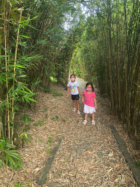 QIhIY3fWSP6sN5SP4W6 1Q