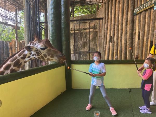 FmJSRc8LQyu7LvitgCaCFg